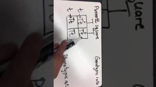 Punnett square problem #3
