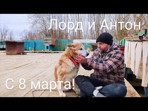 8 марта!