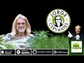 Cultivating cannabis with jorge cervantes