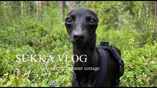 DAY AT THE SUMMER COTTAGE - Sukka The Italian Greyhound