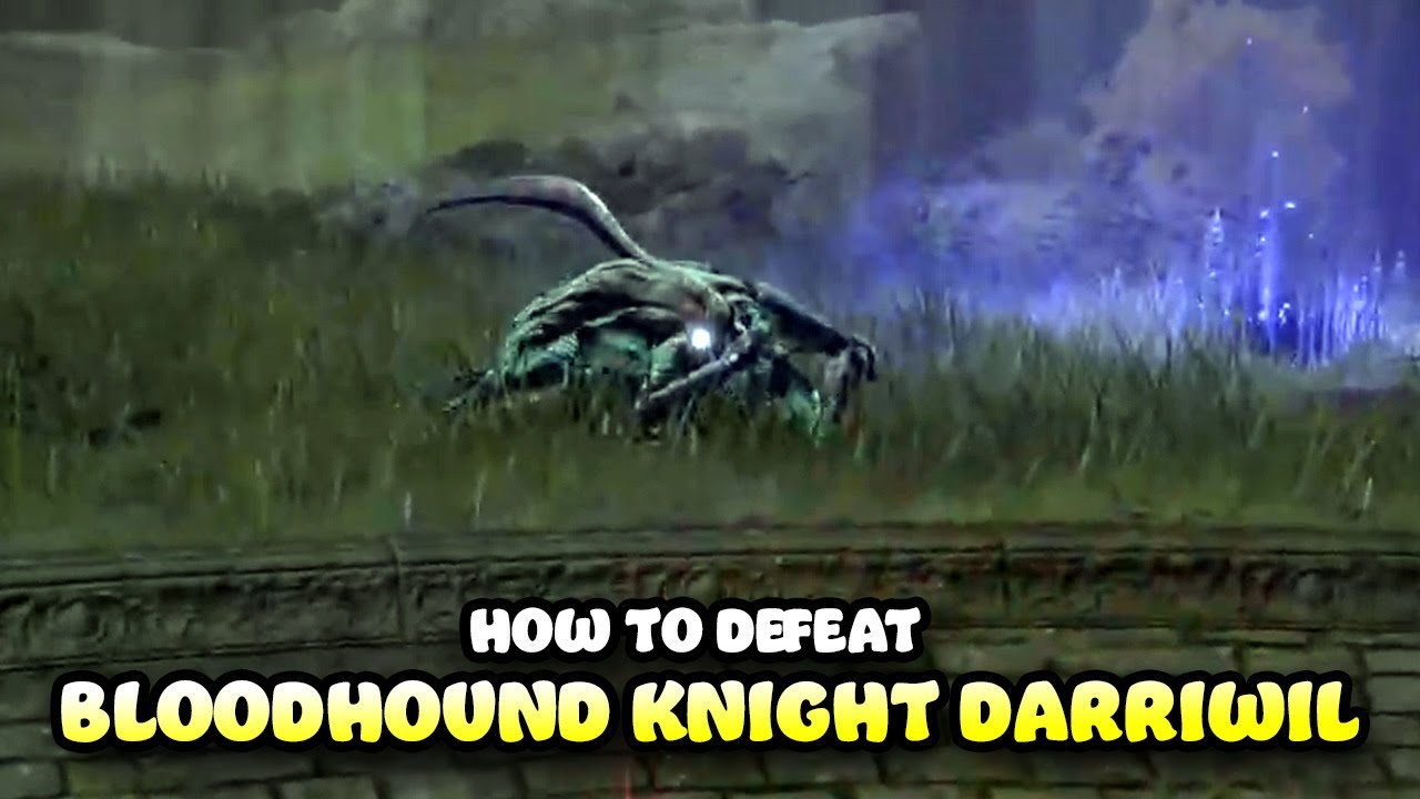 How to Defeat BLOODHOUND KNIGHT DARRIWIL in Elden Ring - YouTube
