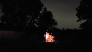 R.I.P LUCKY BOY PYRO ADDICTS.... PIXIE DUST WILLOW 4 INCH