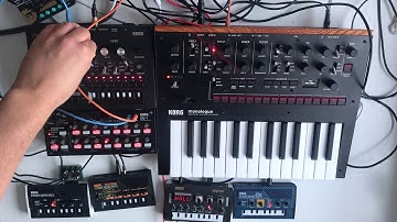 Korg Monologue, Monotribe, Monotron x 3, NTS-1 and SQ-1 acid techno jam