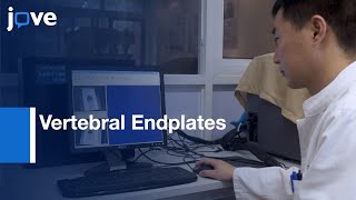 Vertebral Endplates: Parametric Models and Measurements | Protocol Preview