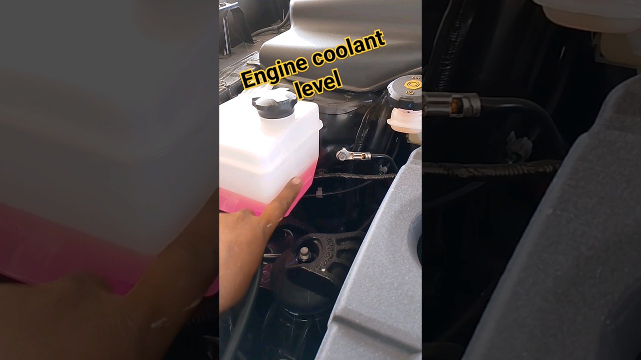 car engine coolant level check 