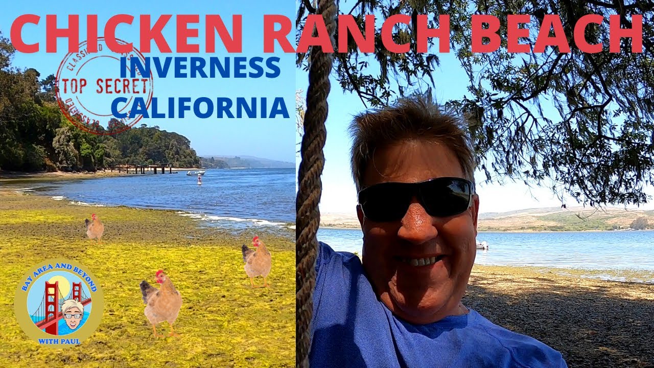 Top Secret Chicken Ranch Beach in Inverness California YouTube