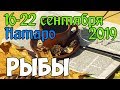 РЫБЫ - таро прогноз 16-22 сентября 2019 года НАТАРО.