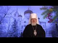 Рождество Христово - 2021. Митрополит Воронежский и Лискинский Сергий
