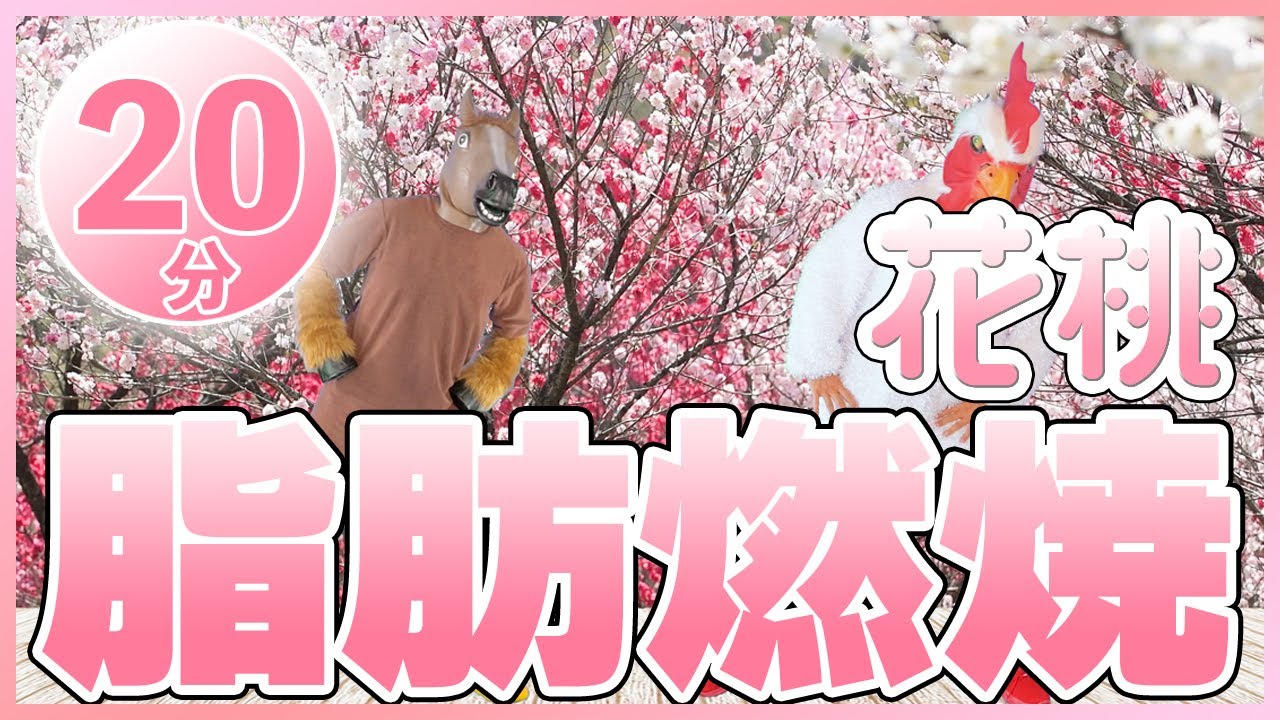 🌸花桃・新緑バージョン🌸【脂肪燃焼20分！滝汗エクササイズ🔥】花桃と新緑に包まれて全力有酸素💦お家で滝汗エクササイズ！ #19