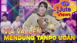 VIA VALLEN TERBARU - MENDUNG TANPO UDAN - DANGDUT KOPLO HOT