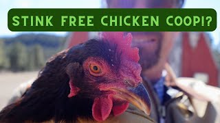 Deep Litter Chicken Coop Method explained: Transform Your Chicken Coop by Broken Arrow Farm 126 views 1 month ago 5 minutes, 41 seconds