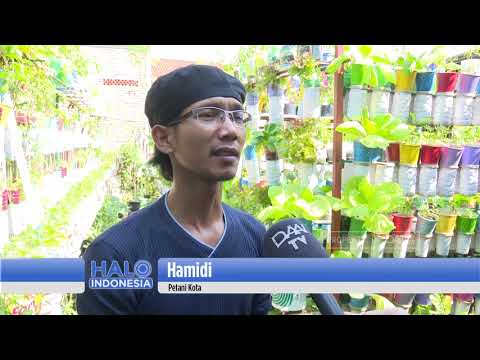 Video: Berkebun Sayur Kontainer - Merancang Kebun Sayur Kontainer Anda