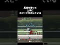 踊るように未来へ走れ！シグレ#競馬 #競馬好き #馬 #馬好き#シグレ#武豊