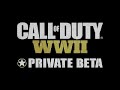 COD:WWII Beta