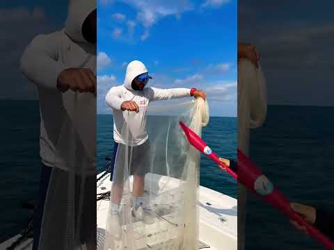 How to Quickly Clean a Cast Net | Fishing Tips with Cast Nets  #fishing #fishingvideo #castnet