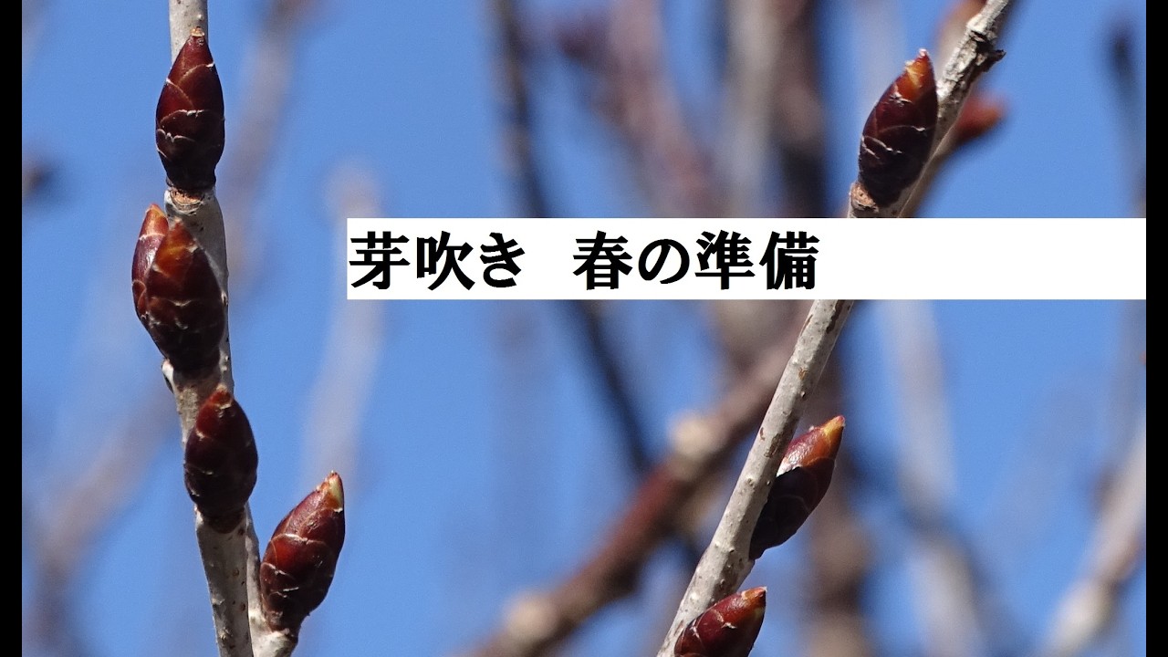 少し季節が動きました