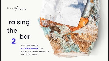 Raising the Bar 2.0: BlueMark