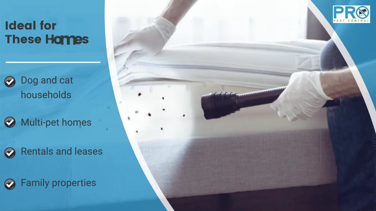 Targeted Flea and Tick Control Services in Sydney for Pet-Safe, Long-Lasting Protection