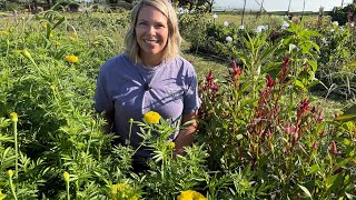 Tour of Late August Blooms & Making a Dahlia Bouquet for a Friend : Zone 5 : cut flowers :small farm