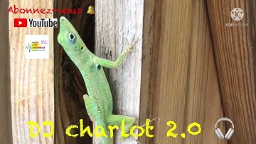 Mix Zouk Souvenir Tropical By Dj Charlot 2.0