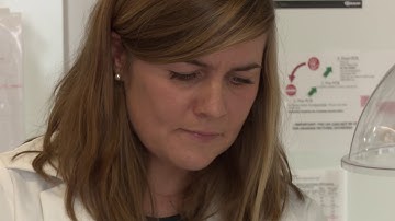 Research Data Management (RDM) - Introduction to RDM