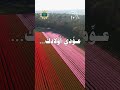 أولادي قرة عيني و حصاد عمري عودي أولادك Quran اكسبلور قران كريم نقرأ لنرتقي 