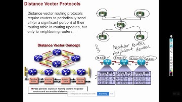 Distance Vector Routing Protocols(CCNA 200-301)
