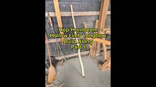 Hop Hornbeam Hollow Limb Longbow