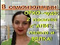 4.Орхо-ЧУДО,2 посылка с &quot;АЛИ экспресс&quot;,ВЯЗАНОЕ пальто и БЕЛКА.Будни В САМОИЗОЛЯЦИИ.VLOG.