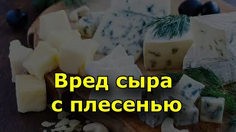 Вред сыра с плесенью. Виды