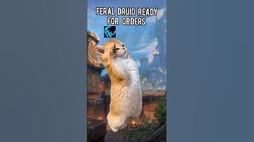 Feral druid ready for orders #wow #worldofwarcraft #warcraft