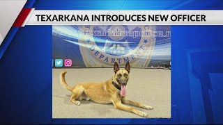 Meet Gator, Texarkana's newest K9