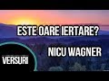 Este oare iertare?-Versuri