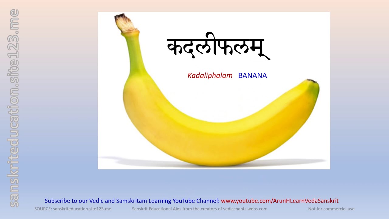 Learn Sanskrit Easily Lesson 4 Fruits, Vegetables and Flowers YouTube