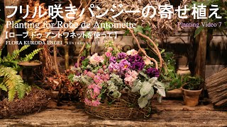 フローラ黒田園芸 - フリル咲きパンジーの寄せ植え（ ローブ・ドゥ・アントワネット）【Planting Video】＊字幕をONにしてご覧いただくと、解説が入ります。