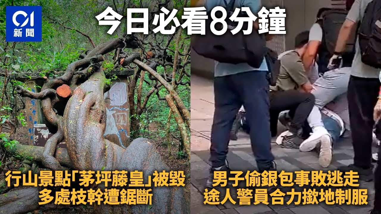 尖沙咀站內地漢涉偷銀包事敗逃走　多名途人警員合力撳地制服｜01新聞｜尖沙咀｜扒竊｜香港警察｜街頭｜網片 #hongkongnews