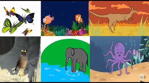 MLZS JHANSI CLASS 2 English Literature I Am Lucky