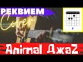 Animal Джаz - Реквием аккорды 🎸 кавер табы как играть на гитаре | pro-gitaru.ru