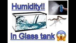 Ball python Humidity In Glass Tank
