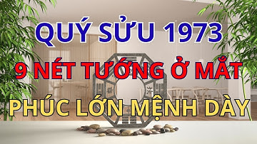 Vận Mệnh Quý Sửu 1973: 9 Nét QUÝ TƯỚNG Ở MẮT Báo Hiệu PHÚC DÀY MỆNH LỚN, Hậu Vận An Nhàn |Phong Thủy
