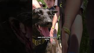 Sheriff and K9 have emotional sign-off