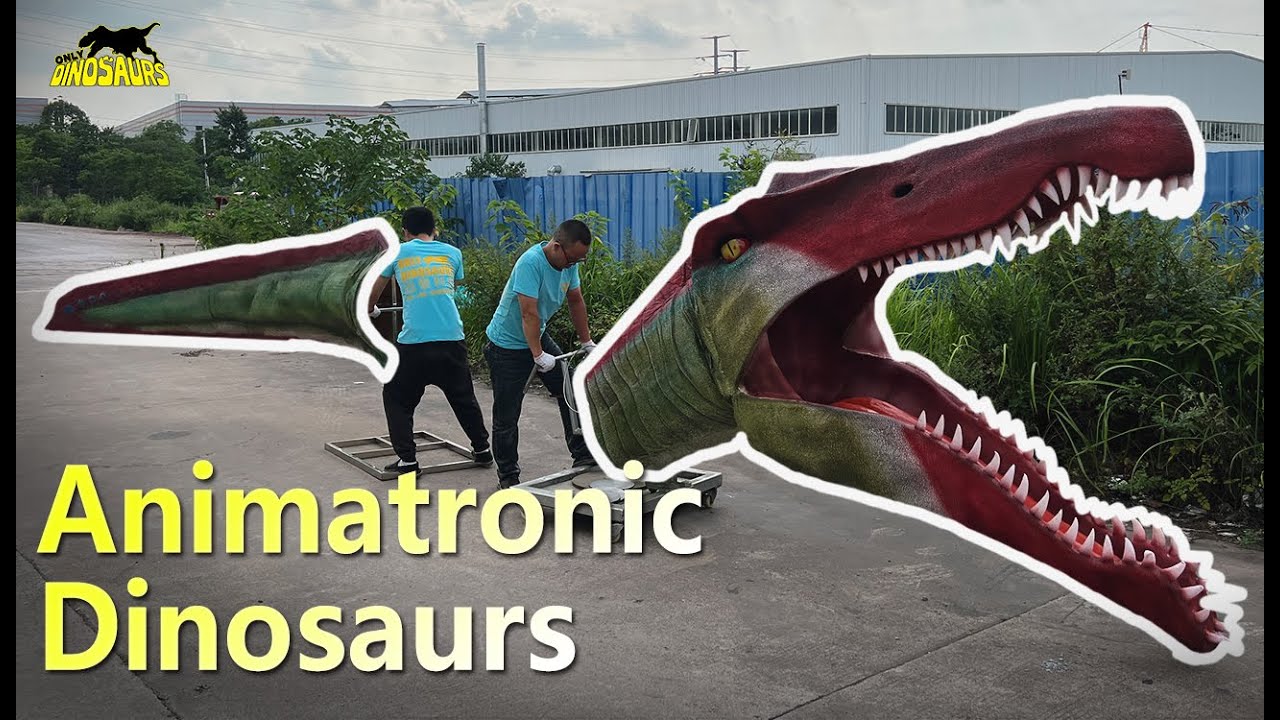Animatronic Spinosaurus head and tail separate models | Animatronic Dinosaur