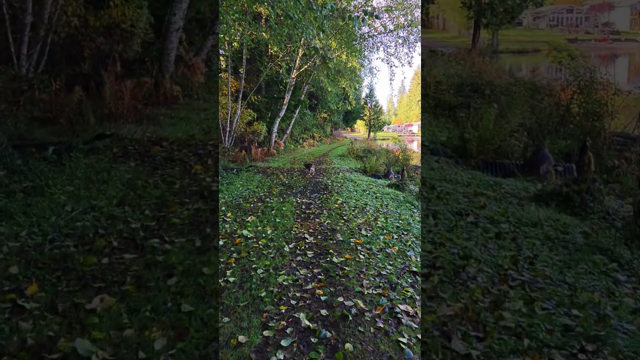 WHO IS WAITING FOR ME 