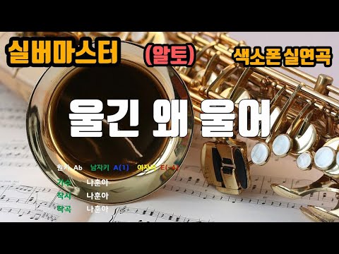 [은성 반주기] 울긴왜울어 - 나훈아 노래/ MR / 가사 / 반주