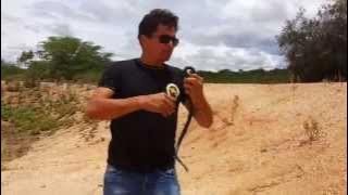 menino atrapalha o vídeo da serpente e toma tapa na orelha