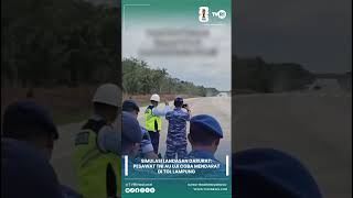 Simulasi Landasan Darurat: Pesawat TNI AU Uji Coba Mendarat Di Tol Lampung