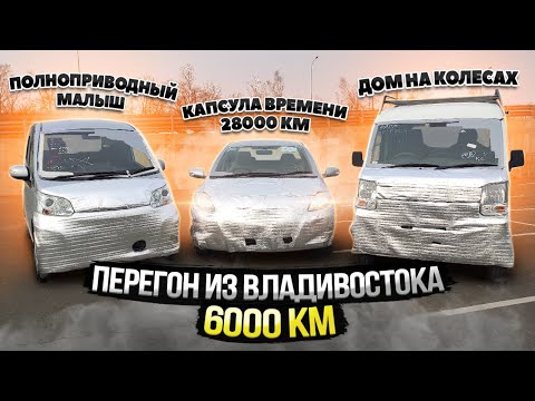 Video: Трейнордун жогорку же төмөн катышын каалайсызбы?