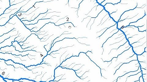 Stream Order Using ArcGIS (2019)