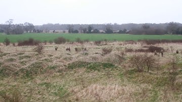 Combat Cadets 2017 Section Attack