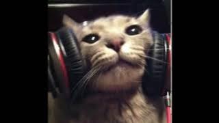 CRYSTALS ~ PR1SVX (slowed to perfection   best part looped)